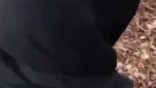 بحرينة محجبة تتناك في طيزها في الصحراء