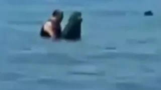 في بحر اسكندرية نيك محجبة داخل المياء