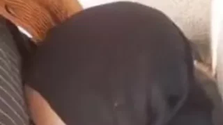 بنات سوريات محجبات تمص الزبر بحنية واحتراف عالي اوي