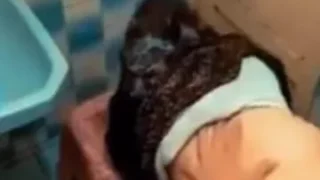 مدرسة محجبة تتناك في حمام المدرسة من زميلها