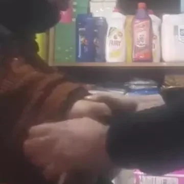 صاحب سوبر ماركت يقفش في بزاز ست سورية كبيرة