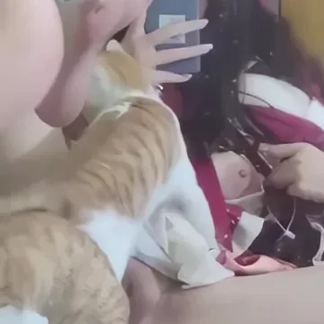 تصور نفسها بكس الوردي ومعاها القطط بتاعتها