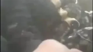 محجبة مصرية تلعب في زبر سواق الباص